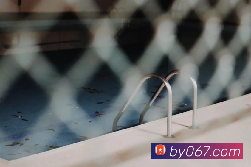 未来规划